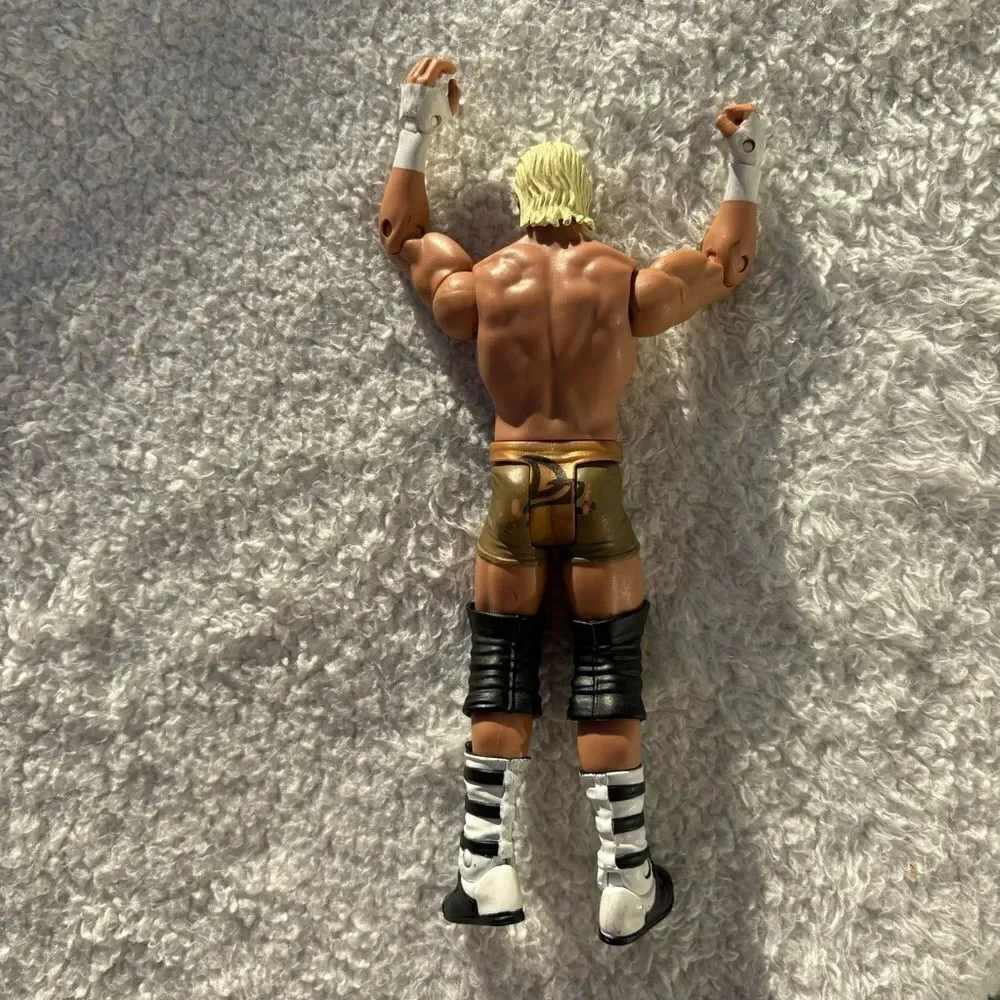 2010 Mattel WWE Wrestling Dolph‎ Ziggler Figure WWF WCW